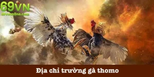 Địa chỉ trường gà thomo