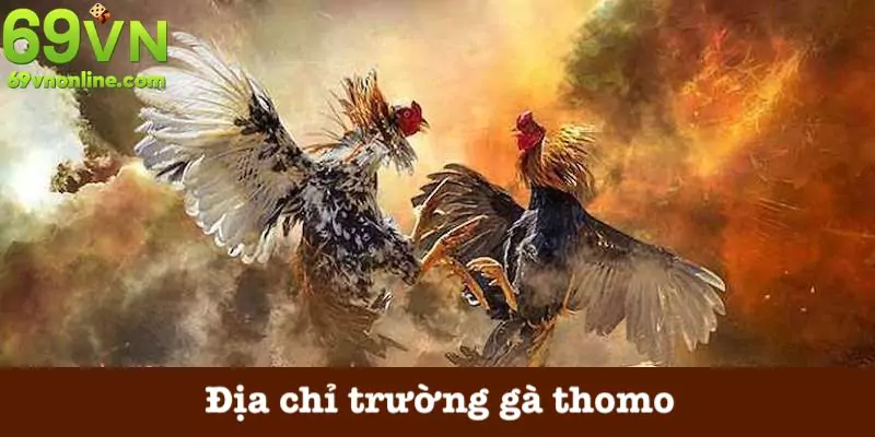 Địa chỉ trường gà thomo